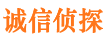 团城山侦探公司